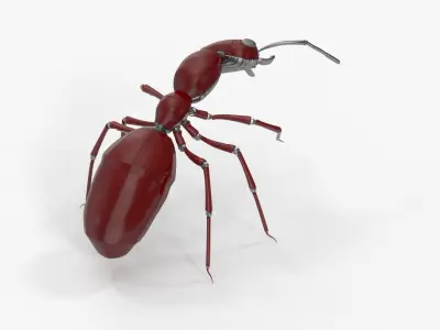 Red robot ant 3D model