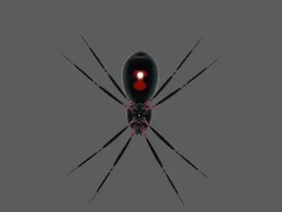 Spider Black Widow 3D model