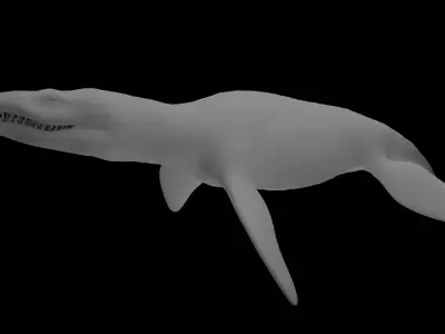 Rigged Liopleurodon 3D Model  Highly Detailed Clean Topology   3D model