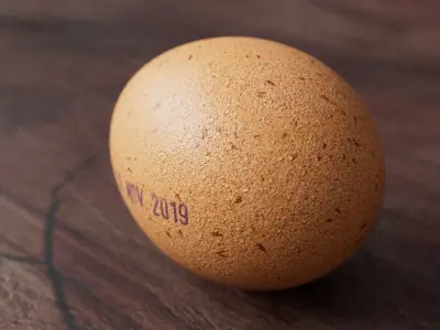 Chicken Egg  low-poly 3D model with realistic 4k texture Low-poly 3D model