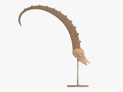 Animal antelope skull statuette Free 3D model