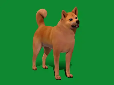 Finnish Spitz Dog Free low-poly 3D model