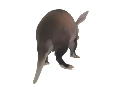 Aardvark Low-poly 3D model