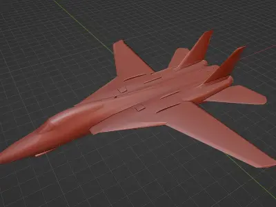 Grumman F-14 Tomcat Low-poly 3D model