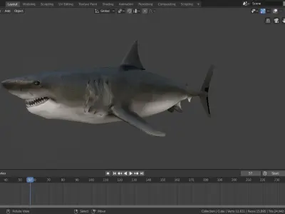 animated sharks 3D model