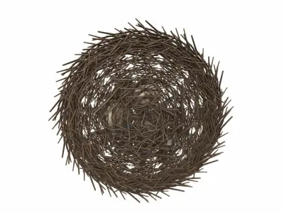 Bird nest v1 3D model