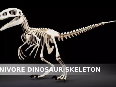 Carnivore Dinosaur Skeleton Low-poly 3D model