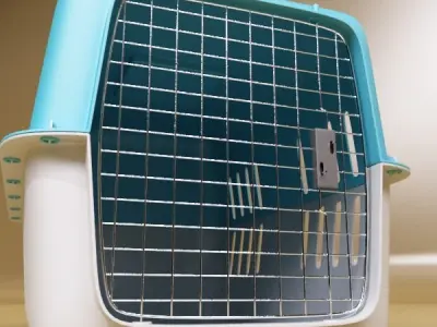 Pet Carrier High Detailed 3D model