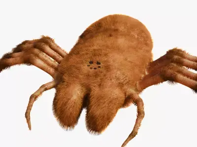 Prehistoric Spider Low-poly 3D model