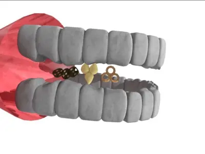 Digestive System 3D model