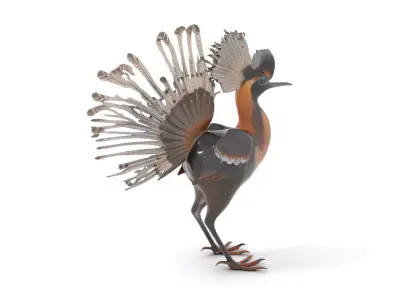 Elegant Crested Bird model pack Low-poly 3D model