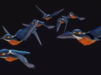 Kingfisher Flock Animated Bird Swarm Hummingbird Shoal Birds Low-poly 3D model