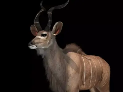 Deer 3d model african antelope 3D model