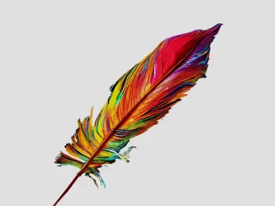 Colorful Feathers Low-poly 3D model