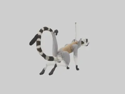 Endangered Lemur swinging model Low-poly 3D model