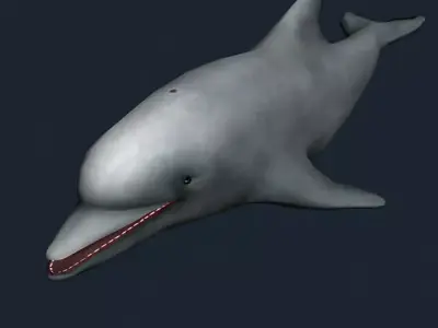3DRT - Sealife - Dolphin Low-poly 3D model