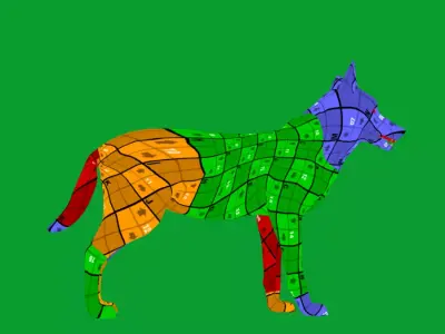 European Female Jackal Free 3D model