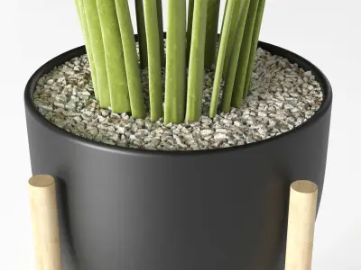 Indoor plant 01 Low-poly 3D model