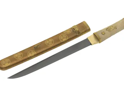 Tanto Short Sword 3D model