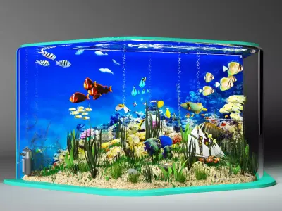 Aquarium 3D model