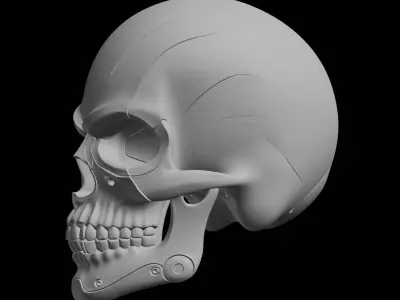 Cyber Skull Bust Model 3D print model