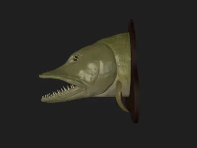 PIKE HEAD DETAILED TEXTURE TROPHY TAXIDERMY FOR 3D PRINTING Free 3D print model