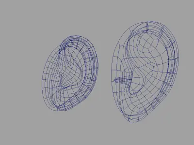 ear 3d model 3D model
