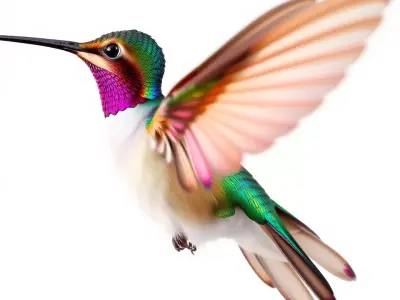 Iridescent Hummingbird model pack Low-poly 3D model