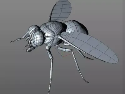 Housefly insect Low-poly 3D model