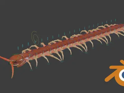 Centipede RIG Blender and Maya Free low-poly 3D model