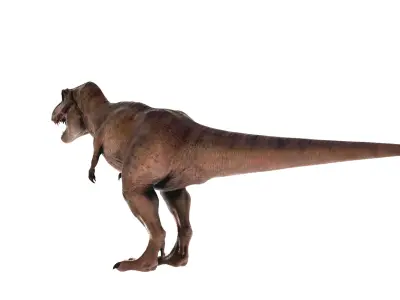 Tyrannosaurus Rex 3D Model  Fully Animated 160 Pro Animations    3D model