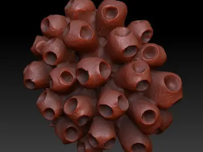 Sea Coral Scan 5 3D model