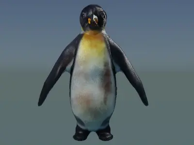 Emperor Penguin 3D model