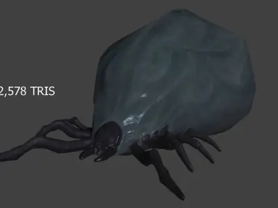 well fed tick Low-poly 3D model