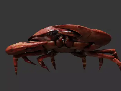 Crab animated walkcycle Low-poly 3D model