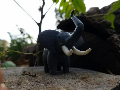 Ellie elephant 3D model