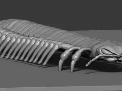 Centipede model 3D print model