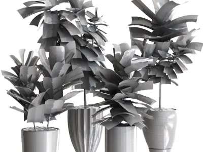 Plant Collection Rpm 06 3D model