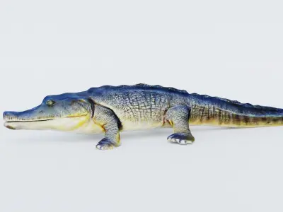 Crocodile Free 3D model