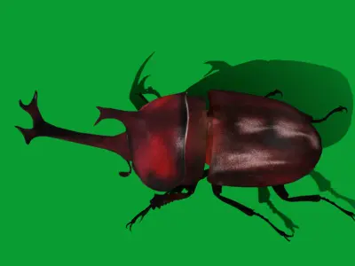 Dynastinae Rhinoceros Beetle Low-poly 3D model
