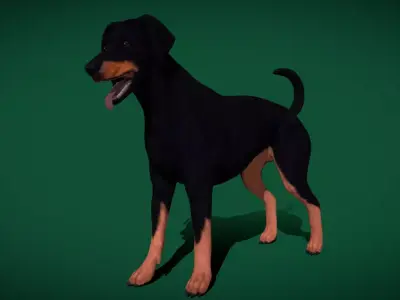 Doberman Dog Natural Breed Free low-poly 3D model