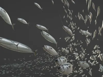 Maquereau mackerel fish Low-poly 3D model