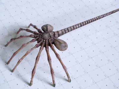 Alien Facehugger - 3D Asset Kit PBR Low-poly 3D model