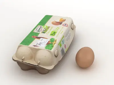 Egg Carton 001 3D model