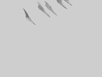 Shark Fins Model 3D model