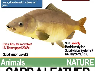 Carp A Leather 3D model