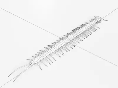 Centipede low poly 3d model Low-poly 3D model