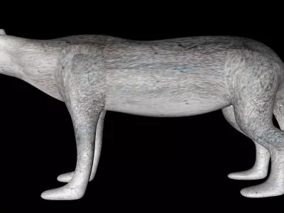 Gray Wolf Free 3D model