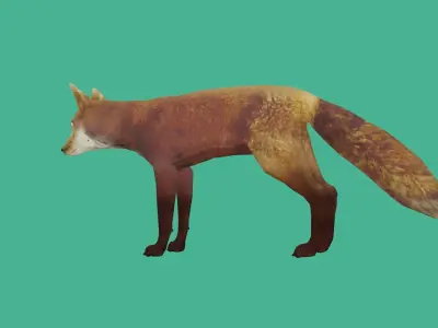 fox lowpoly 3d model 3D model