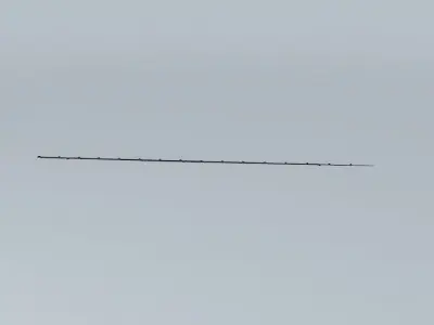 09R Runway Lights (KPHL) Free 3D model